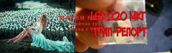 mdpv Михайлов