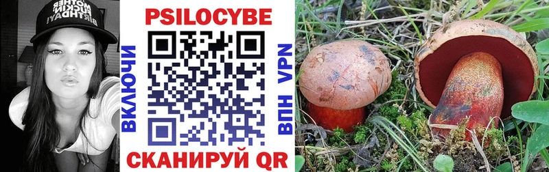 кракен ССЫЛКА  Черкесск  Галлюциногенные грибы Psilocybine cubensis 