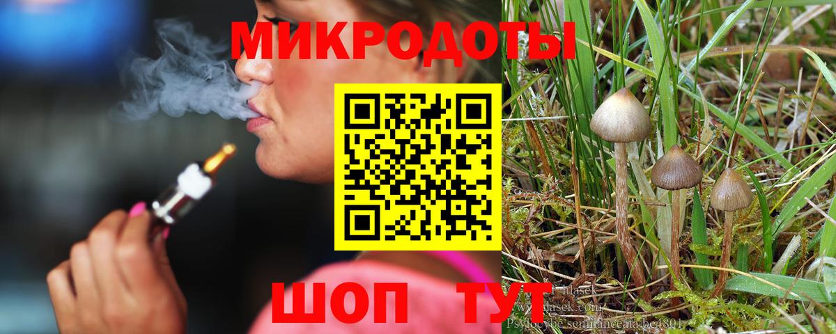 Псилоцибиновые грибы MAGIC MUSHROOMS Черкесск
