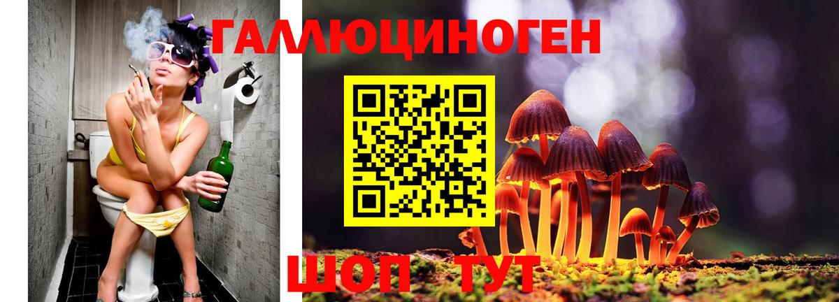 Черкесск  где можно купить   Вход с VPN  Псилоцибиновые грибы Magic Shrooms 