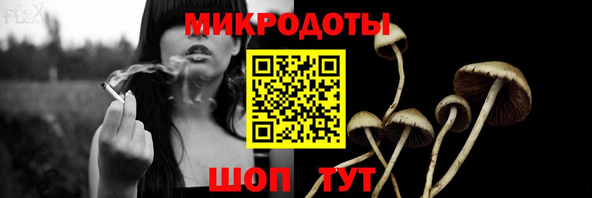 Галлюциногенные грибы Psilocybine cubensis  Черкесск  Галлюциногенные грибы GOLDEN TEACHER 